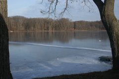 IMG_0695